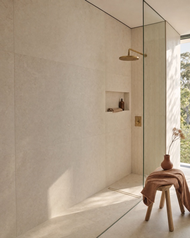 Concept render — frameless walk-in shower detail